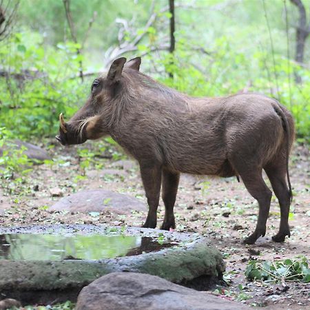Kruger Kumba - Lahlekile Nathi Appartement Marloth Park Buitenkant foto