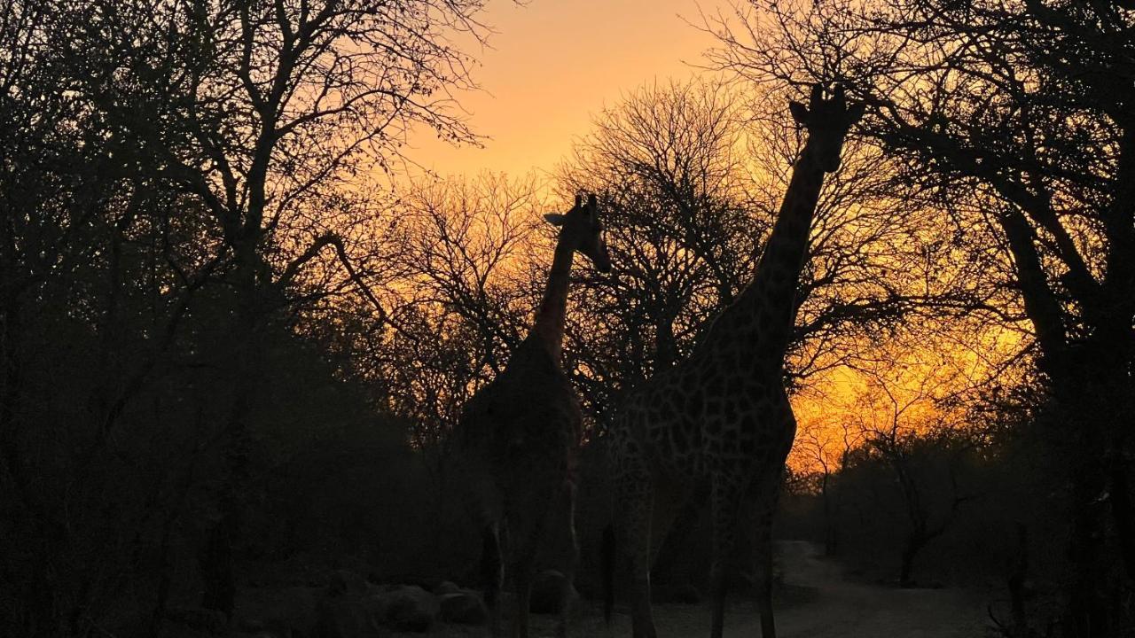 Kruger Kumba - Lahlekile Nathi Appartement Marloth Park Buitenkant foto