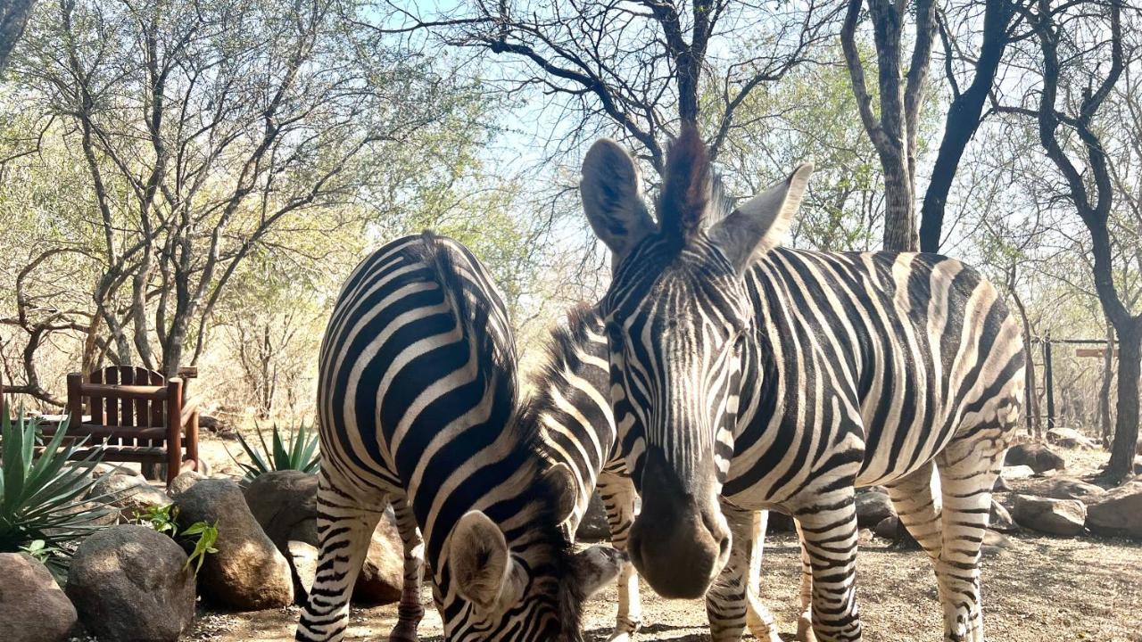Kruger Kumba - Lahlekile Nathi Appartement Marloth Park Buitenkant foto