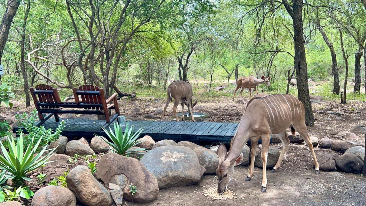 Kruger Kumba - Lahlekile Nathi Appartement Marloth Park Buitenkant foto