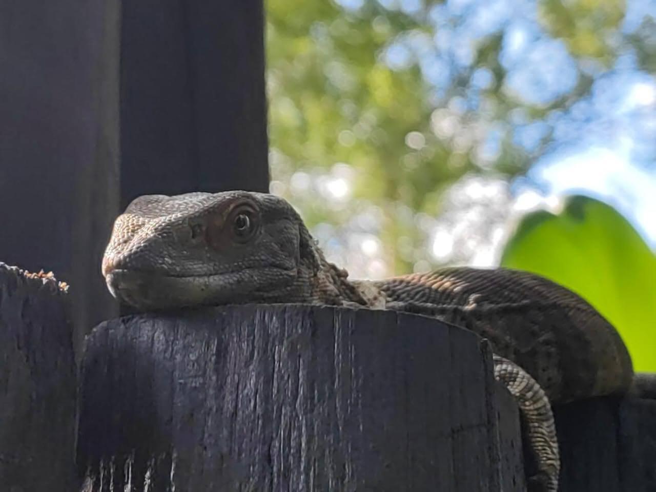 Kruger Kumba - Lahlekile Nathi Appartement Marloth Park Buitenkant foto