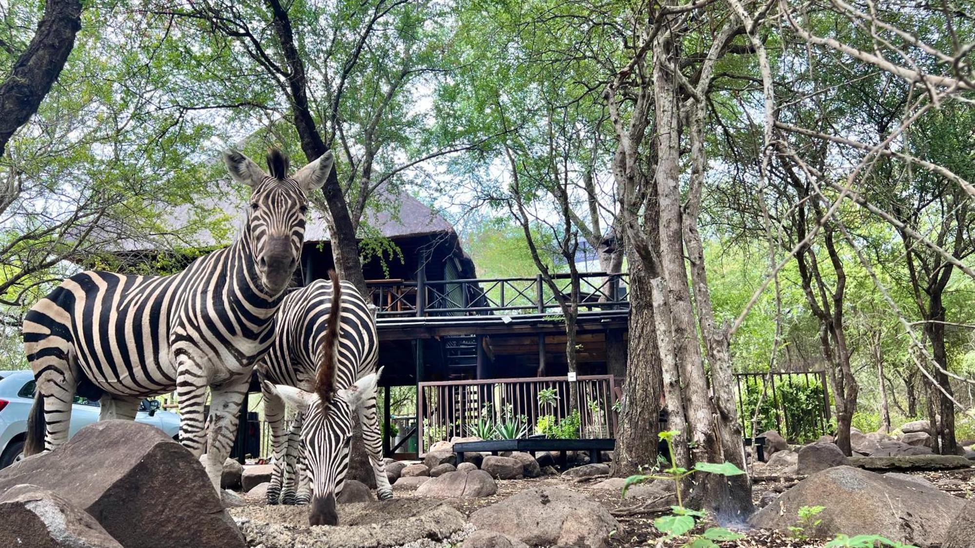 Kruger Kumba - Lahlekile Nathi Appartement Marloth Park Buitenkant foto